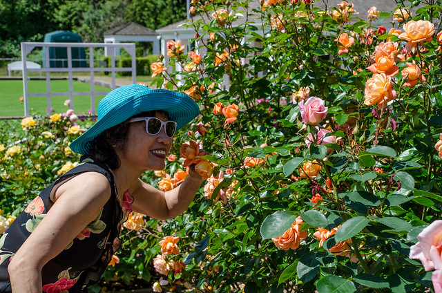 Coquitlam百年玫瑰花园