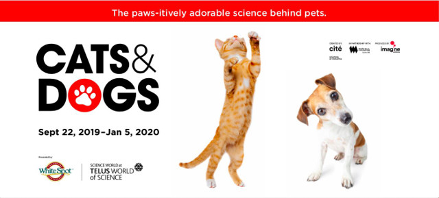 科学界的猫和狗