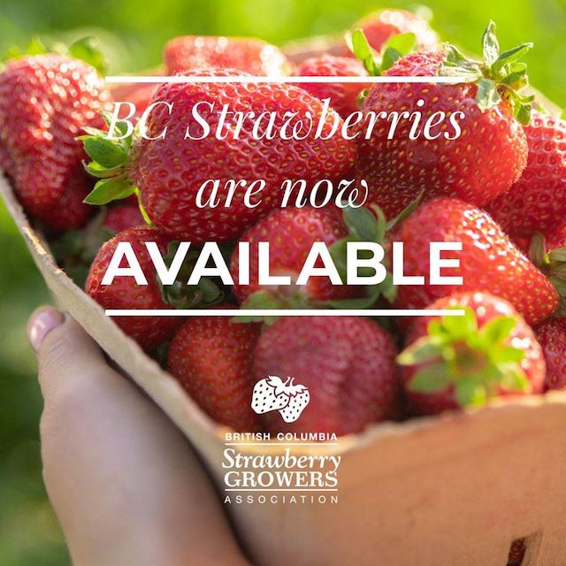 BC草莓季节