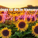 Things to do in Vancouver This Weekend Sunflowers