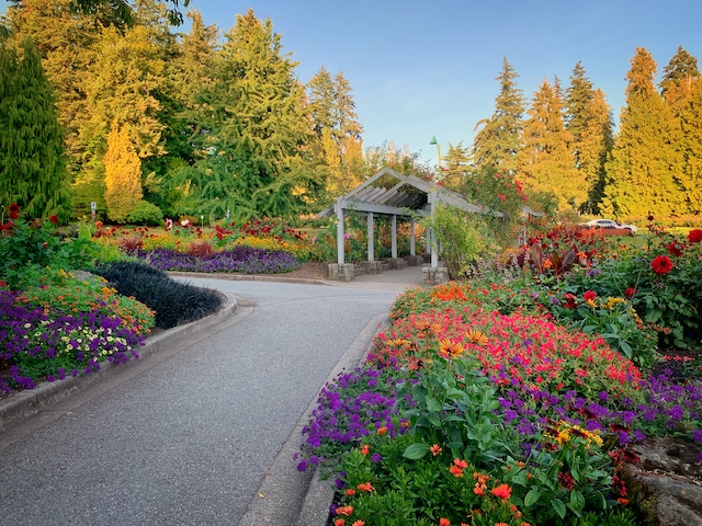 斯坦利公园玫瑰花园小径 - 温哥华周围花园的季节颜色