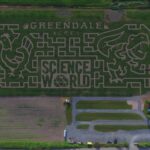 Greendale Acres Chilliwack玉米迷宫2022
