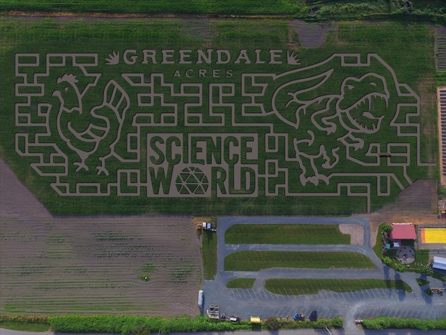 Greendale Acres Chilliwack玉米迷宫2022
